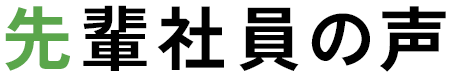 先輩社員の声